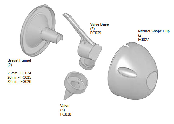 Breast Parts 28